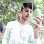 Rohan